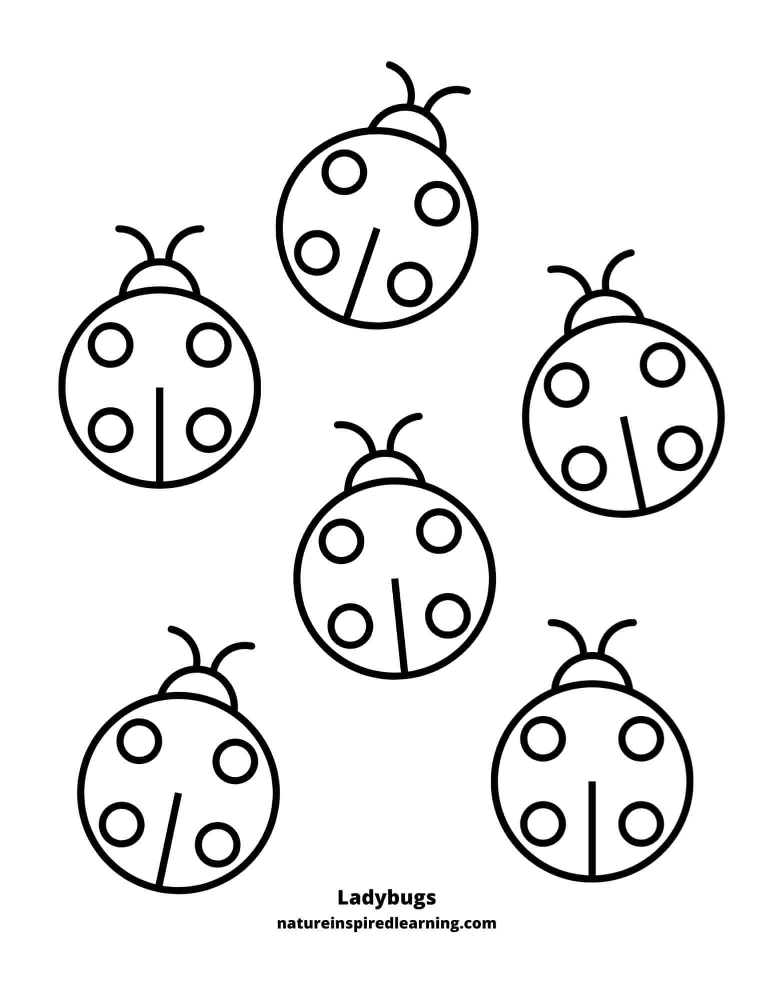 Free Printable Ladybug Coloring Pages Fanny Printable