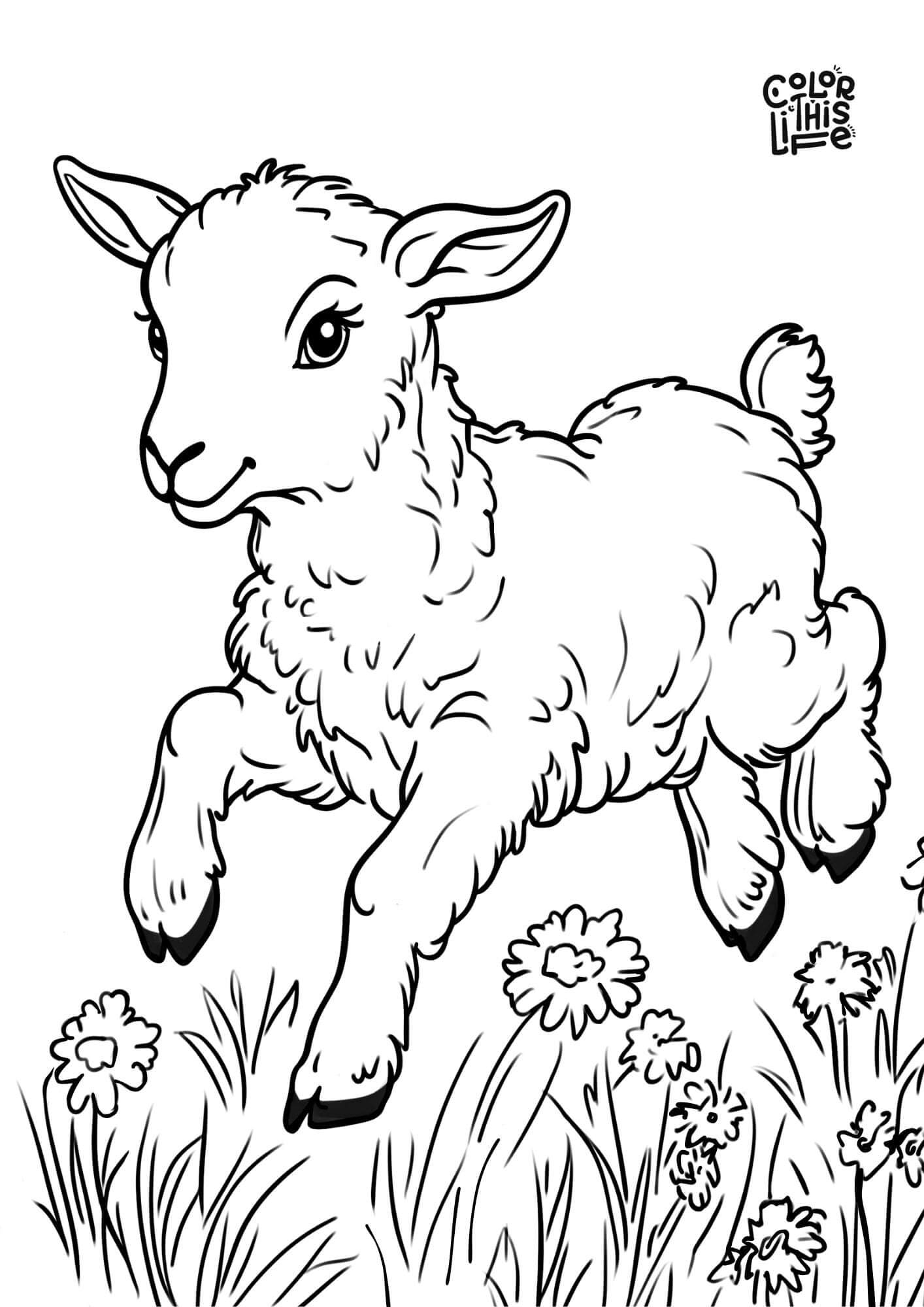 Free Printable Lamb Coloring Pages Color This Life Free Printable Lamb Coloring Pages Color This Life