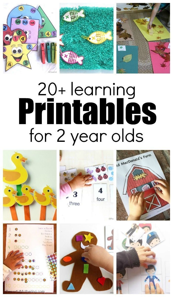 worksheets for 2 year olds worksheets for 2 year olds