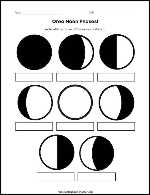 moon phases worksheet moon phases worksheet