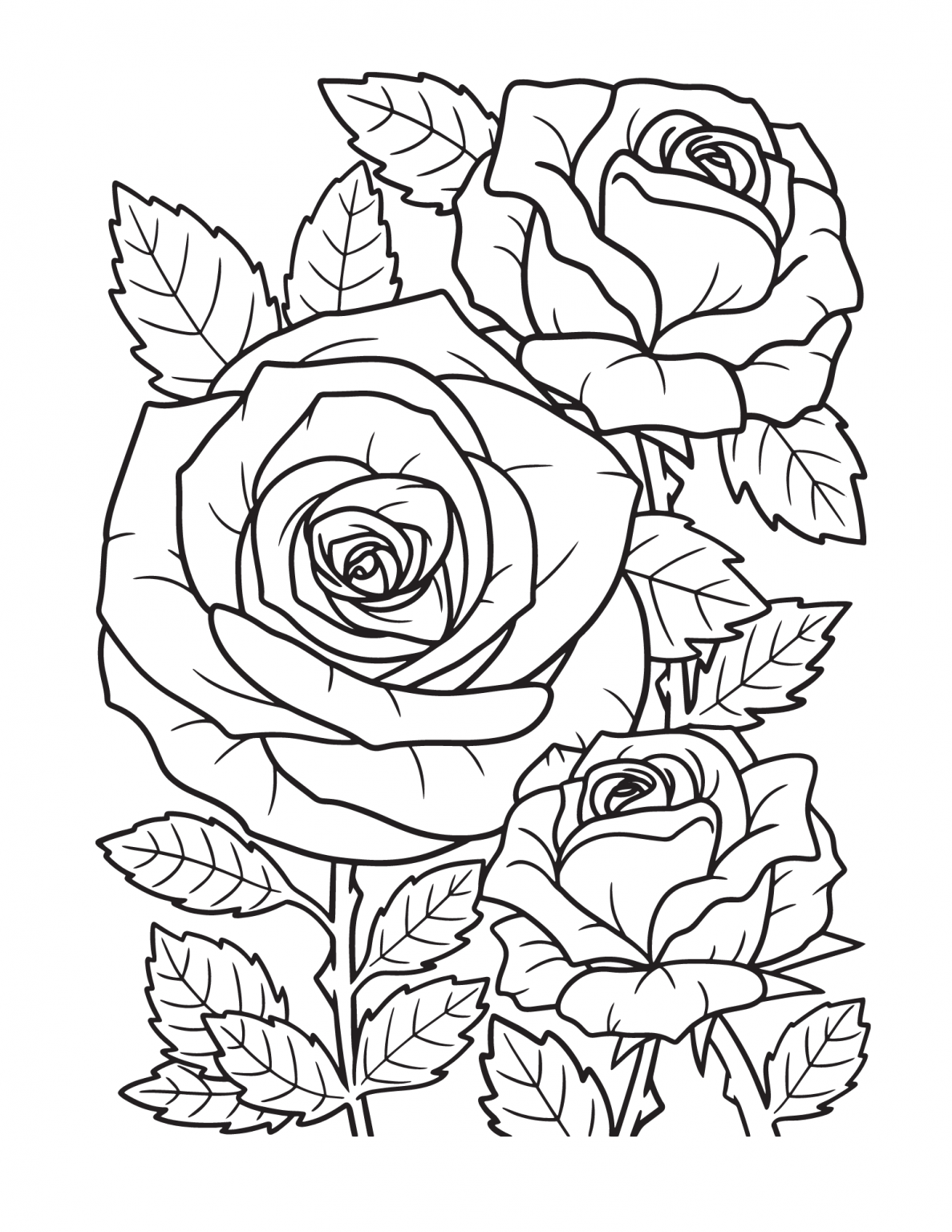 Free Printable Rose Coloring Pages For Kids And Adults Free Printable Rose Coloring Pages For Kids And Adults