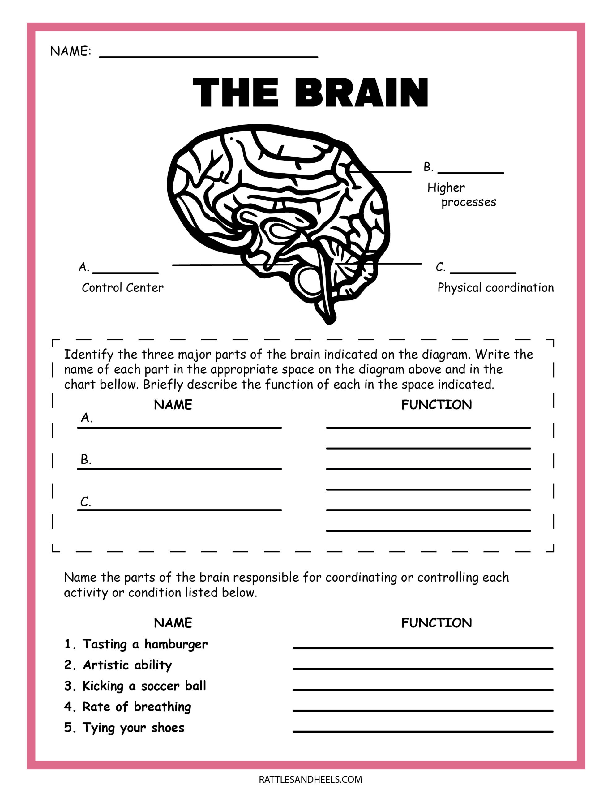 Free Printable Science Worksheets For 2nd Grade FREE Printable A Z Free Printable Science Worksheets For 2nd Grade FREE Printable A Z