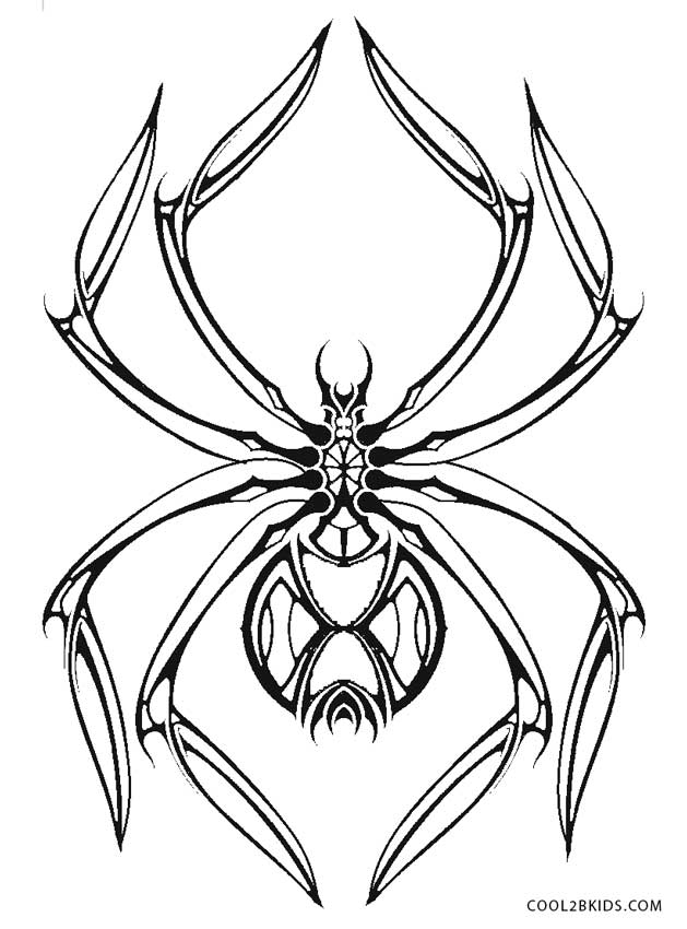 spider coloring pages