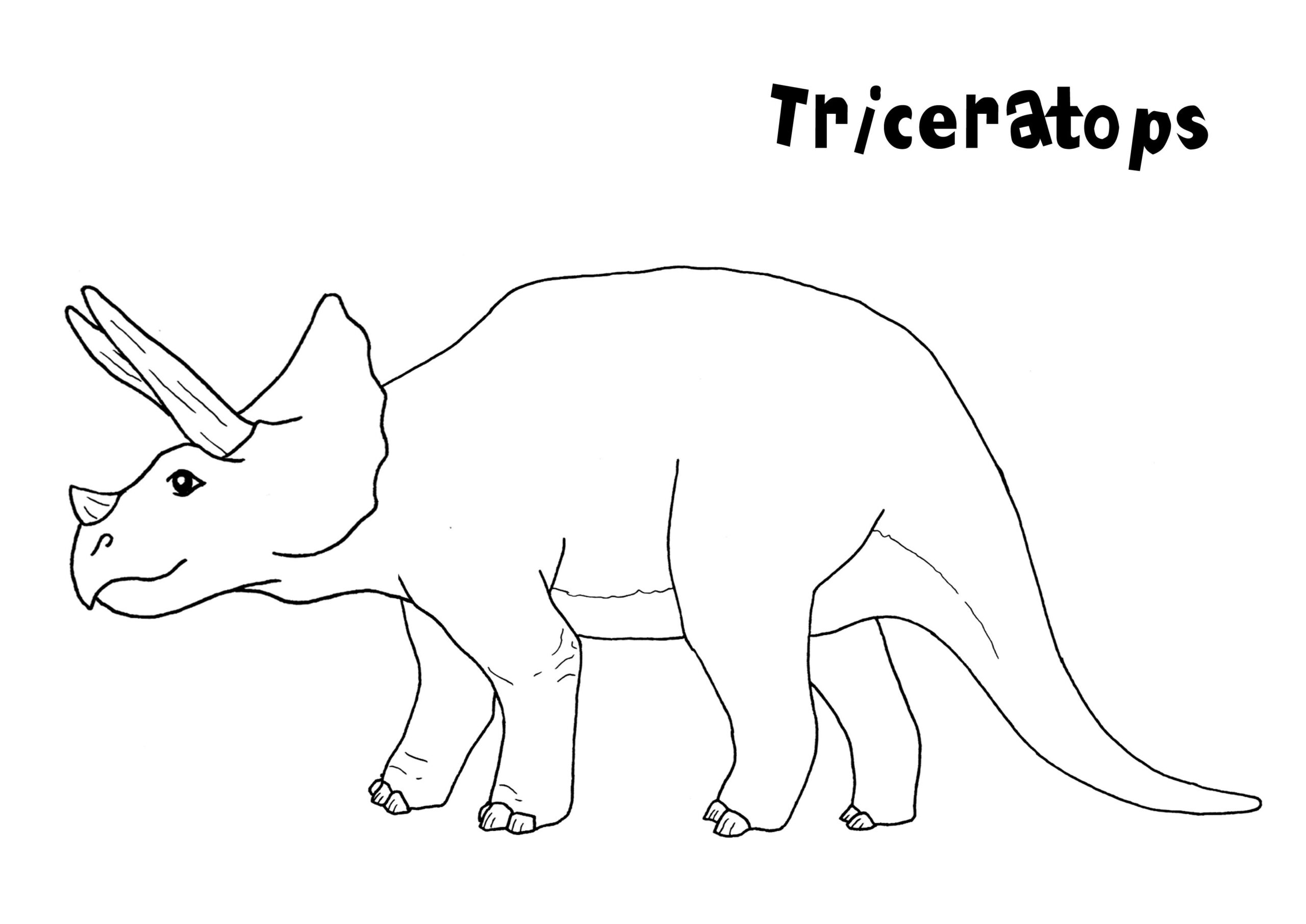 Free Printable Triceratops Coloring Pages For Kids Free Printable Triceratops Coloring Pages For Kids