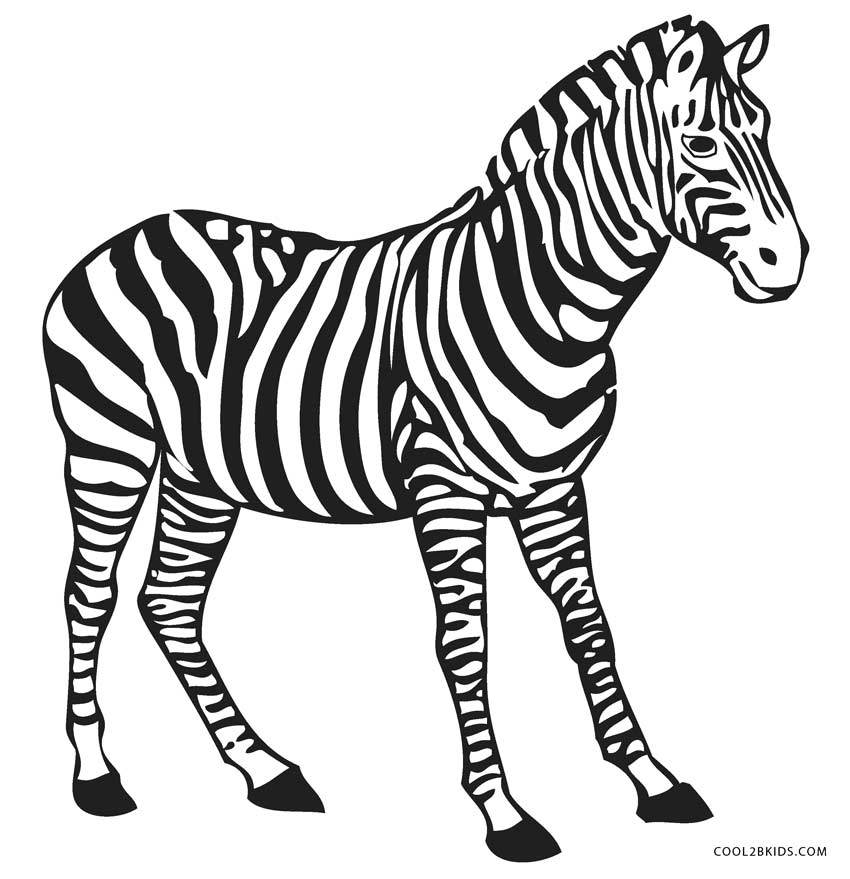 zebra coloring pages