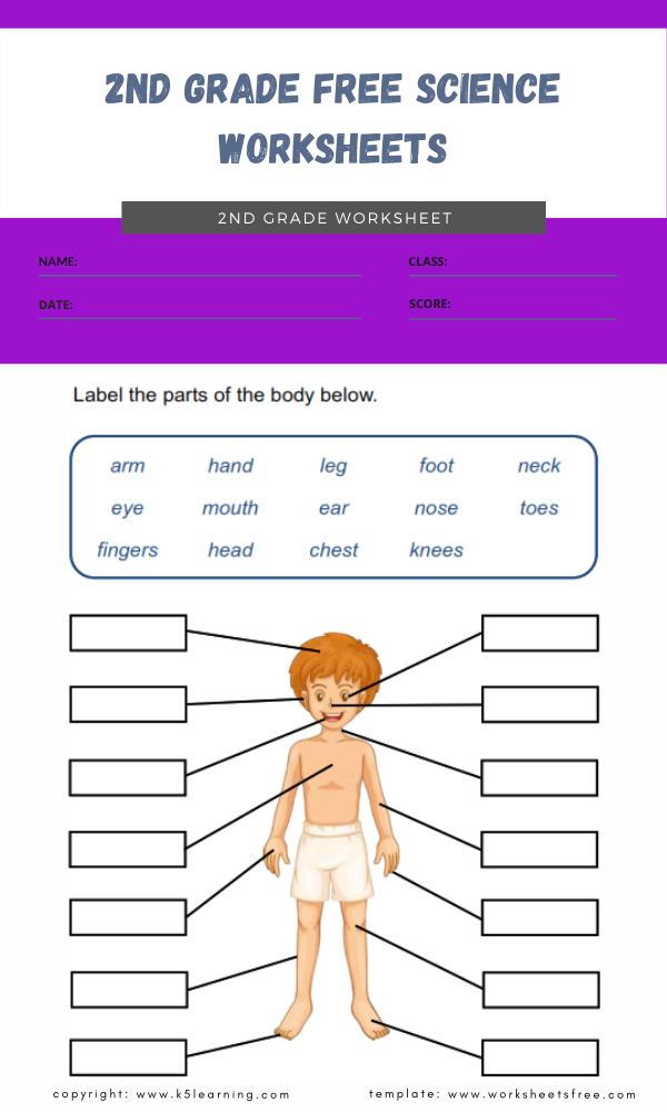 Free Science Worksheets 2nd Grade Scienceworksheets Free Science Worksheets 2nd Grade Scienceworksheets
