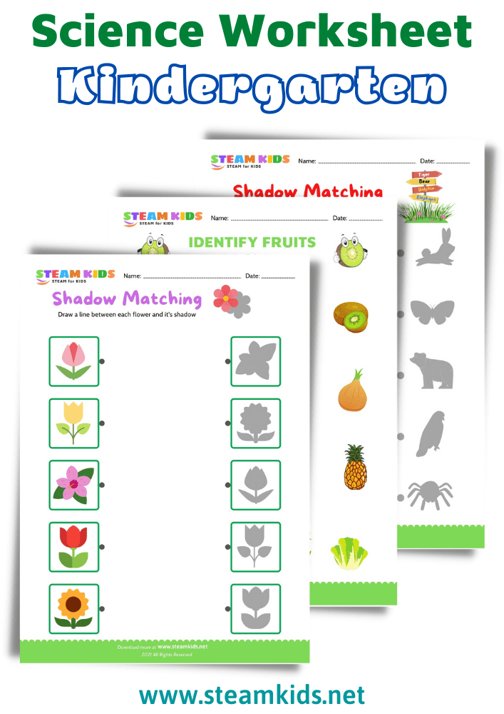 Free Science Worksheets For Kids STEAM KIDS