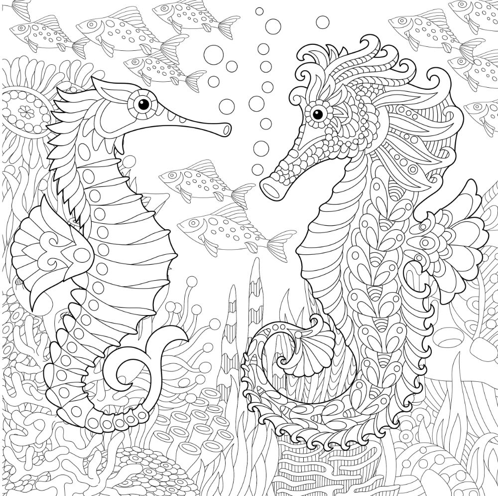 Free SEAHORSE Coloring Pages For Download Printable PDF 