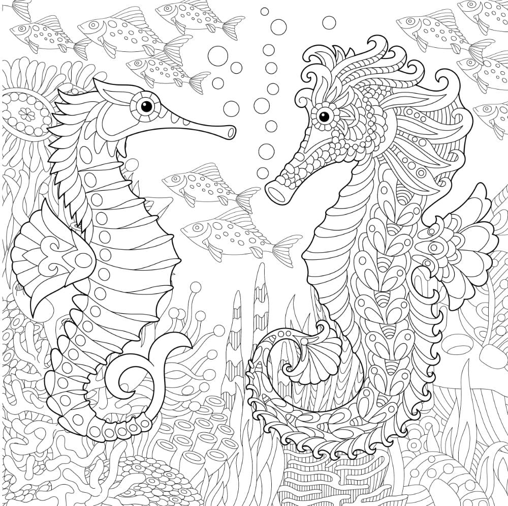Free SEAHORSE Coloring Pages For Download Printable PDF Free SEAHORSE Coloring Pages For Download Printable PDF