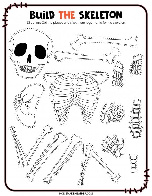 skeletal system worksheet