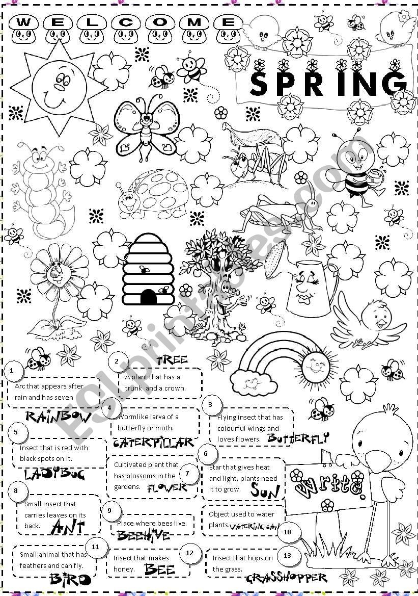 Free Spring Activity Worksheets