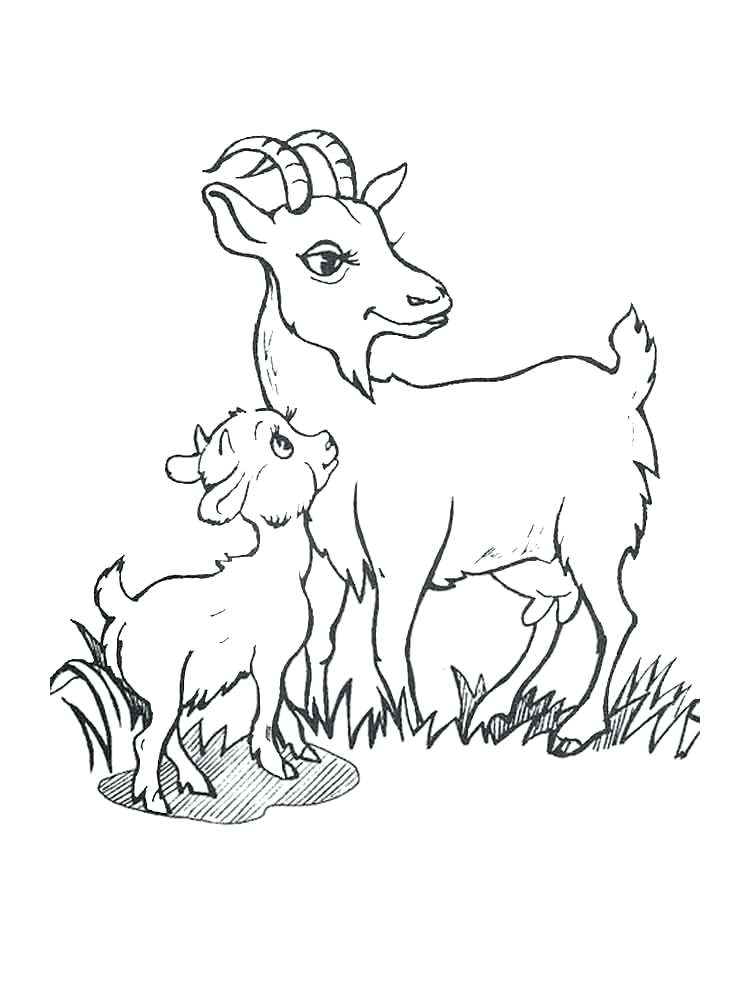 Goat Coloring Pages At GetColorings Free Printable Colorings 