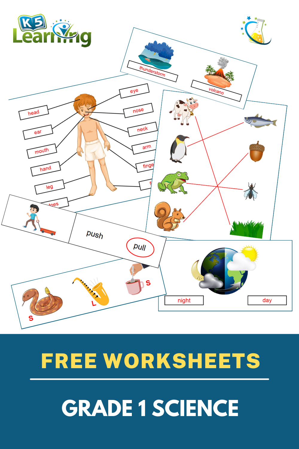Grade 1 Science Worksheets 1st Grade Science Free Science Worksheets Grade 1 Science Worksheets 1st Grade Science Free Science Worksheets