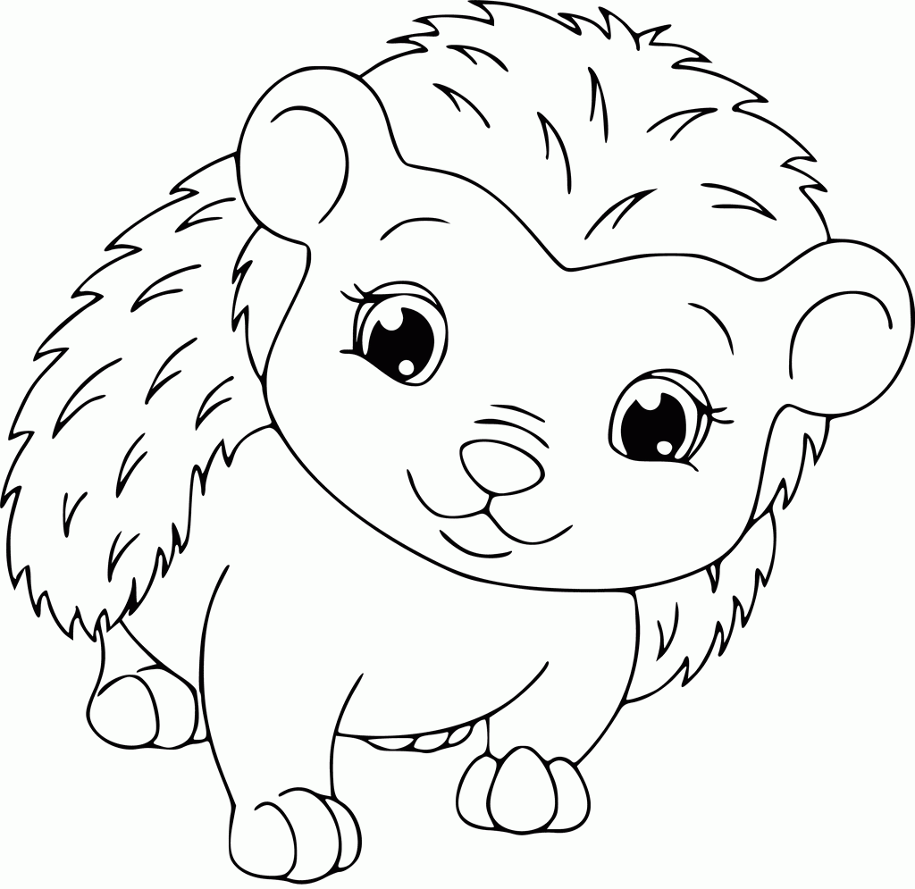 hedgehog coloring page