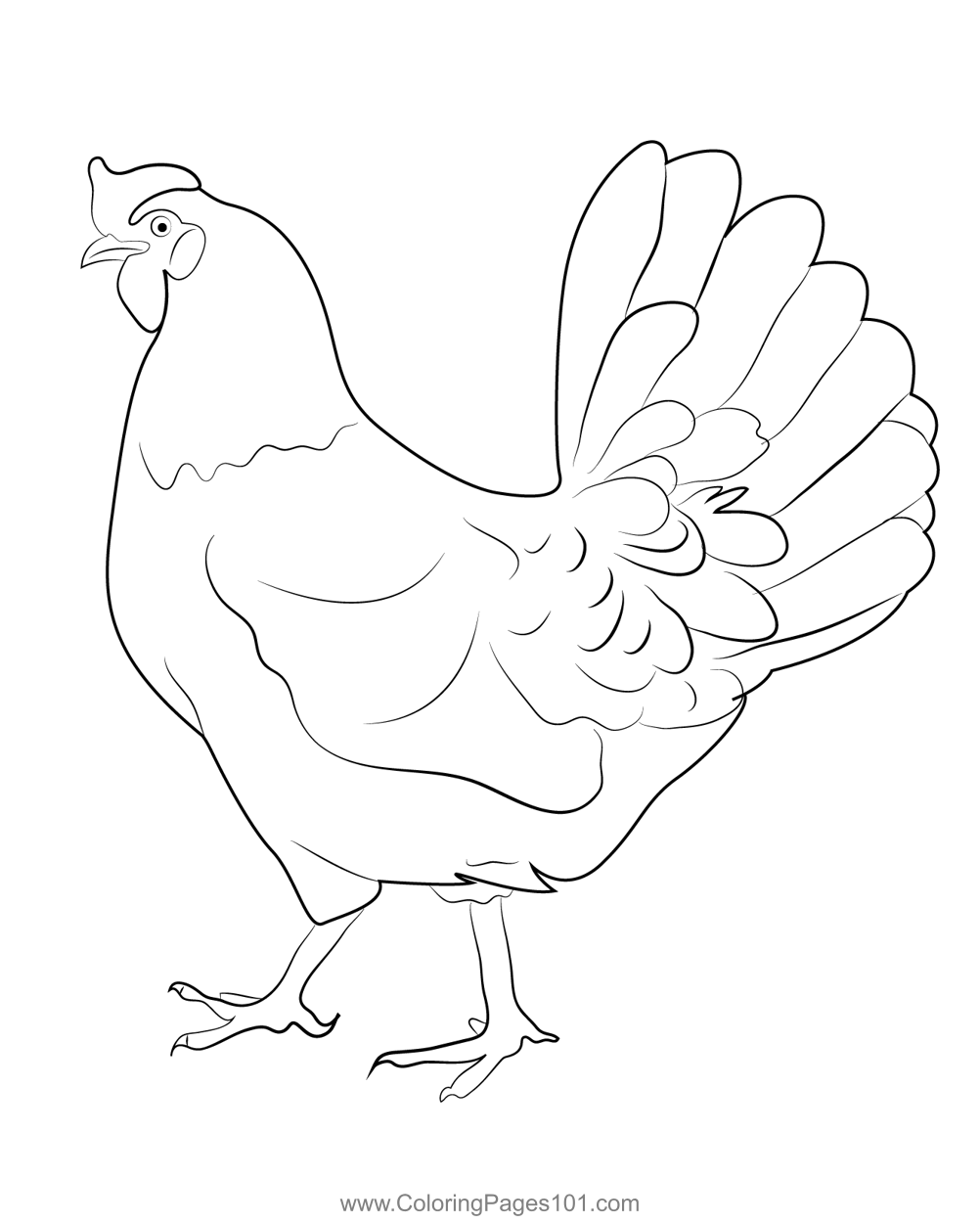 Hen Coloring Page For Kids Free Chickens Printable Coloring Pages 