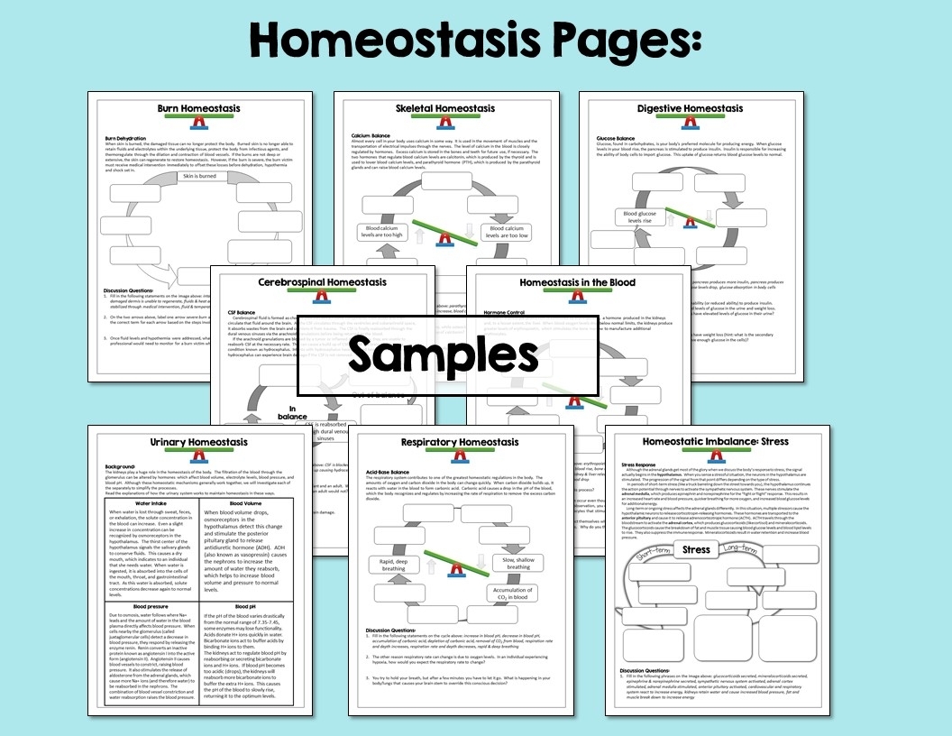 Homeostasis Worksheet Recognize Normal Parameters Mom Printable Homeostasis Worksheet Recognize Normal Parameters Mom Printable