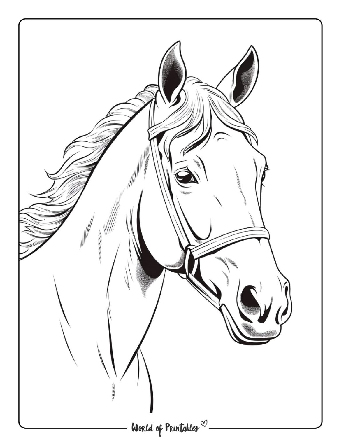 Horse Coloring Pages For Kids Adults World Of Printables Horse Coloring Pages For Kids Adults World Of Printables