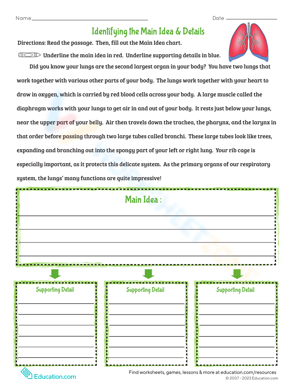 Identifying The Main Idea Details Worksheet Identifying The Main Idea Details Worksheet