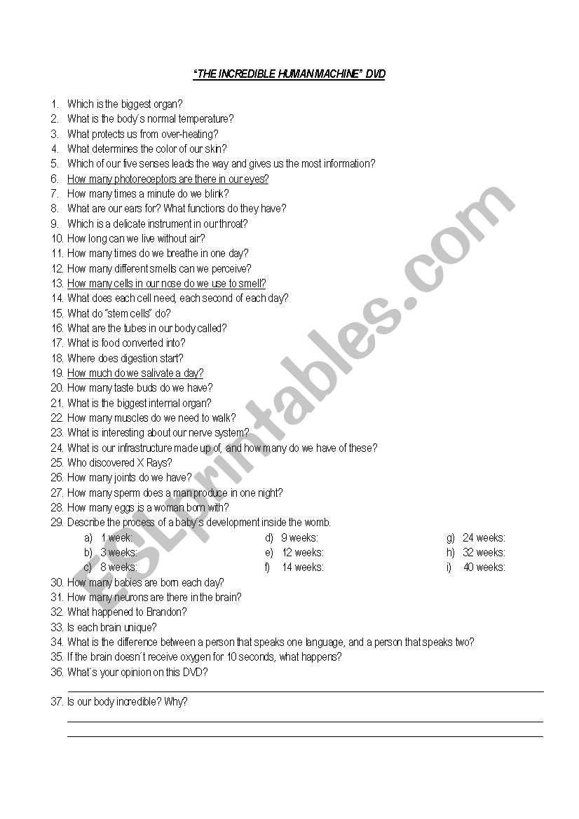 Incredible Measurements Worksheet Answers Planner Hexagon