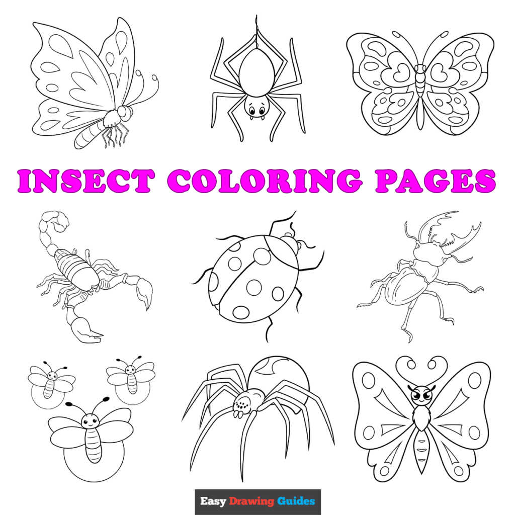 bugs coloring page bugs coloring page