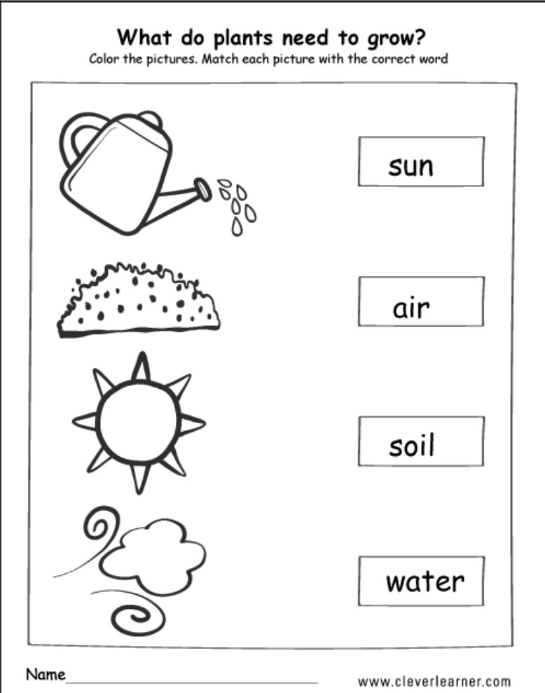 Kindergarten Science Worksheets Plants Free Kindergarten Worksheets