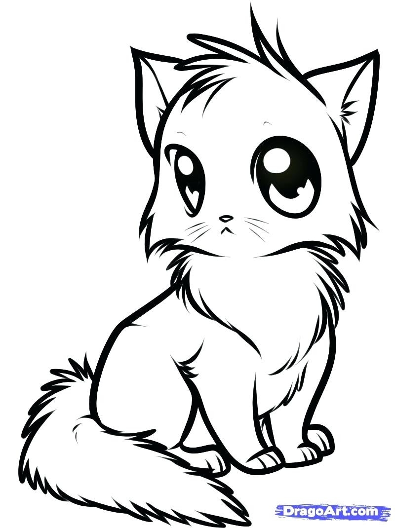 kitty cat coloring page