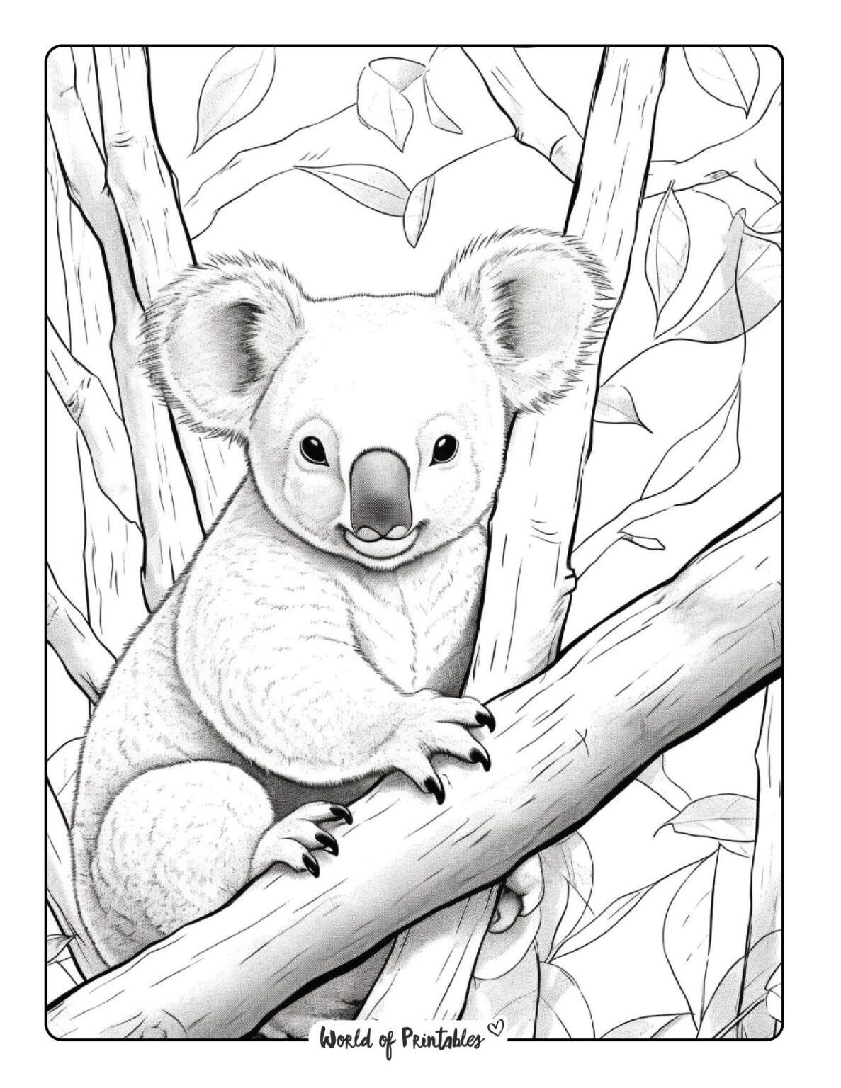 Koala Coloring Pages For Kids Adults World Of Printables