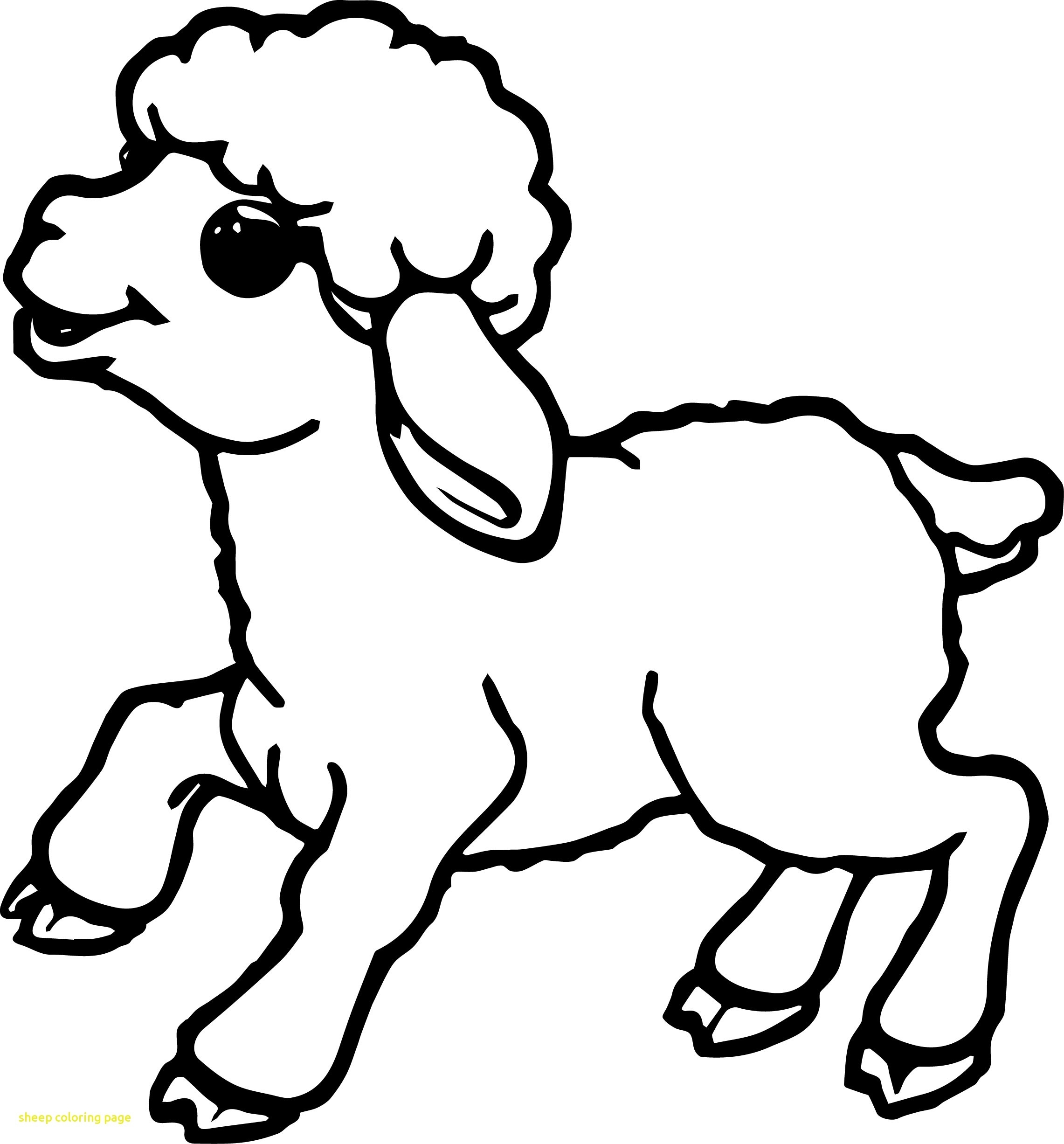 Lamb Coloring Page At GetDrawings Free Download Lamb Coloring Page At GetDrawings Free Download