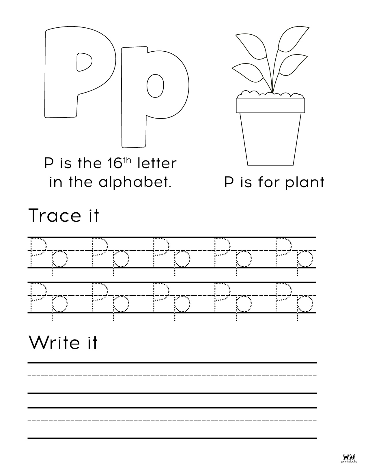 Letter P Worksheets 50 FREE Printables Printabulls