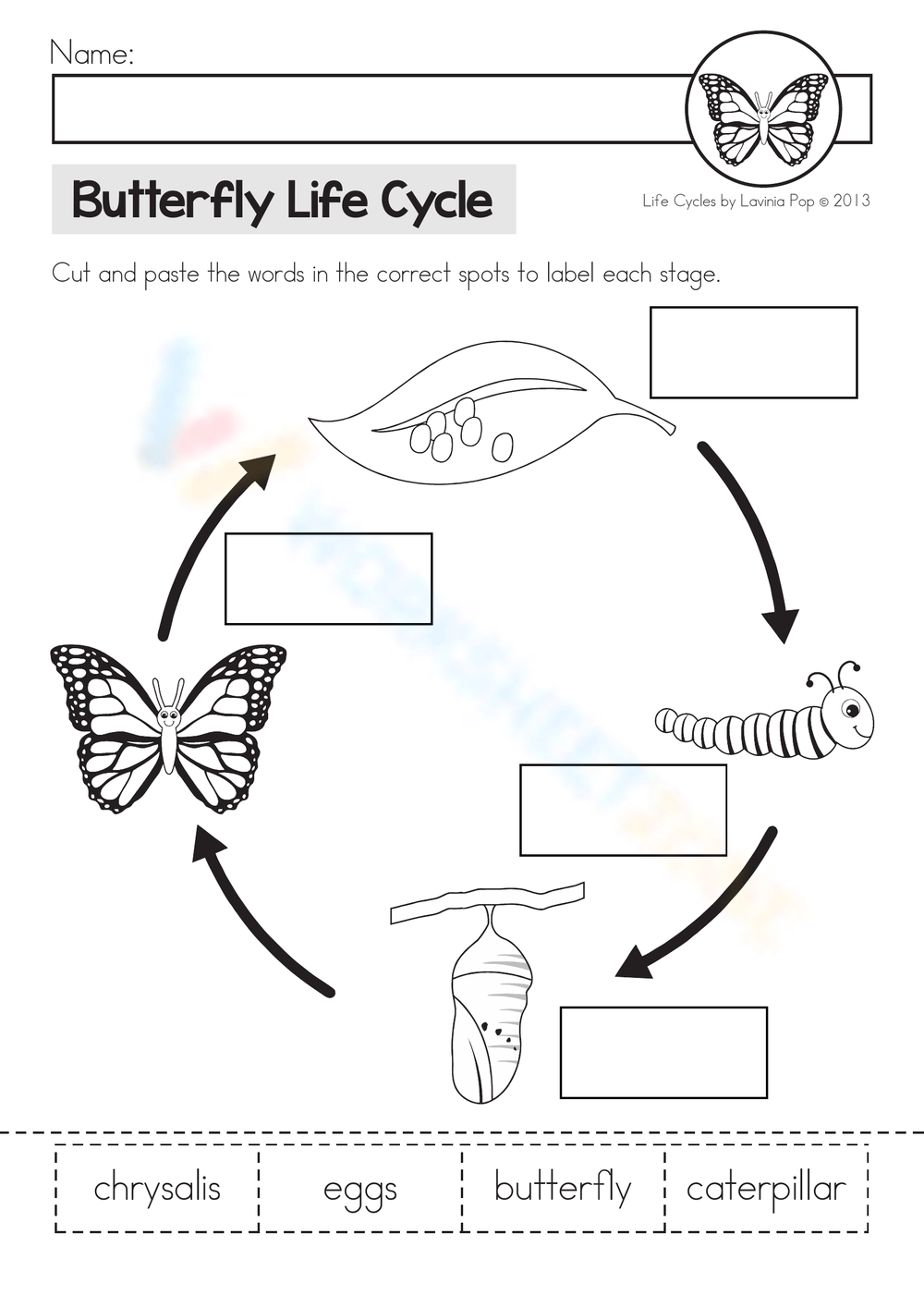 Life Cycles Cut And Paste Butterfly cdr Worksheets Library