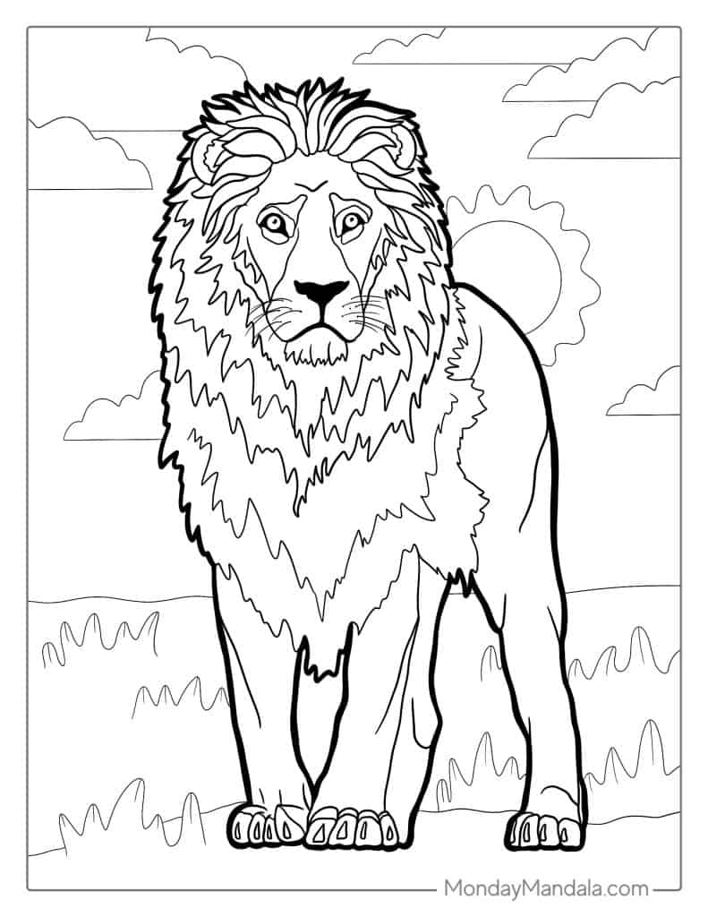 coloring pages of lions