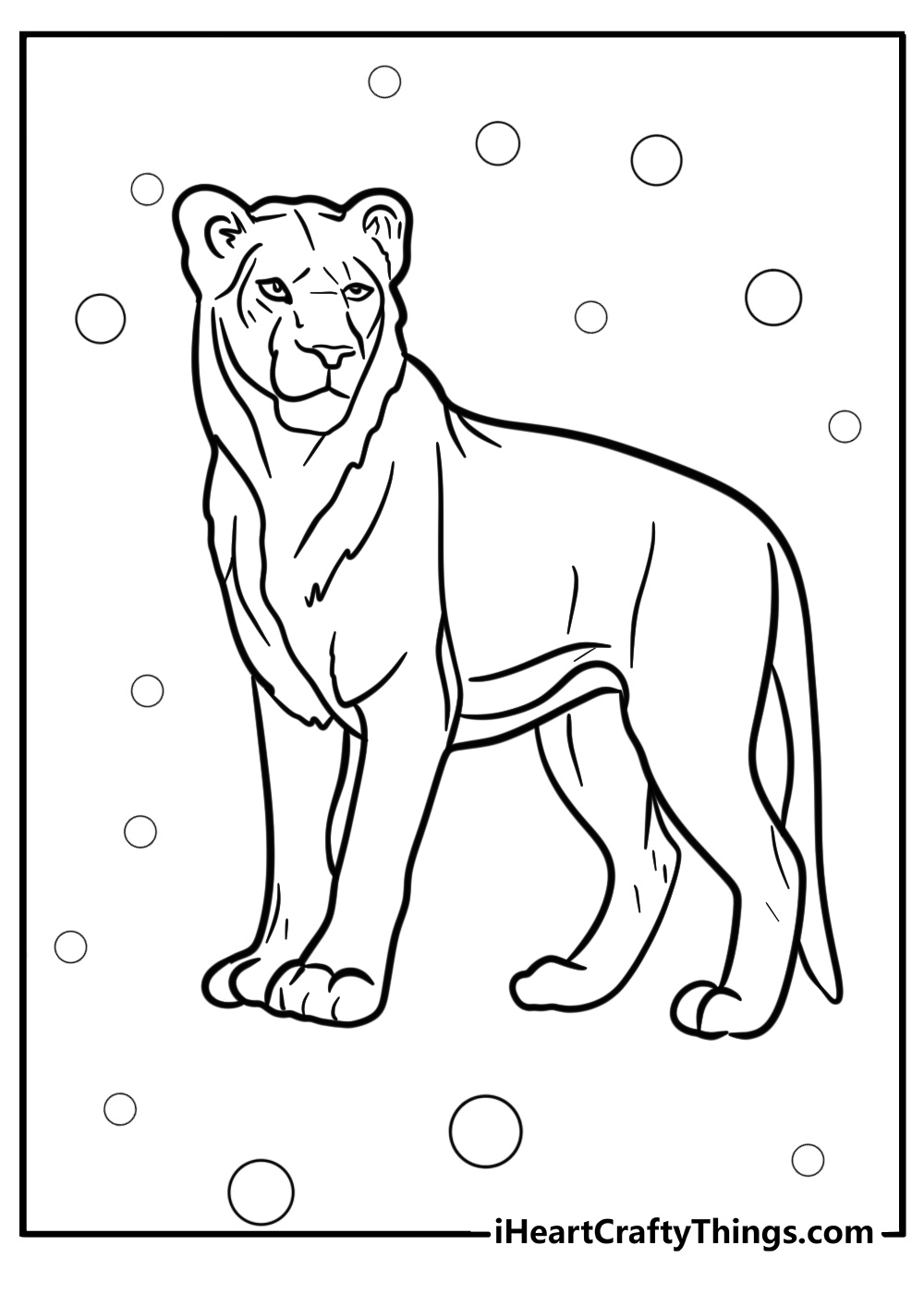 Lioness Coloring Pages 2025 