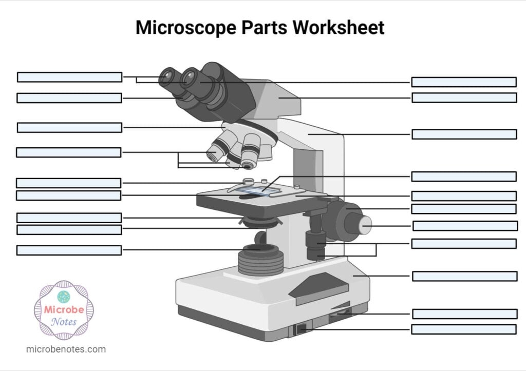 Microscope Parts Labeling Worksheet With Answer Key Microscope Parts Labeling Worksheet With Answer Key