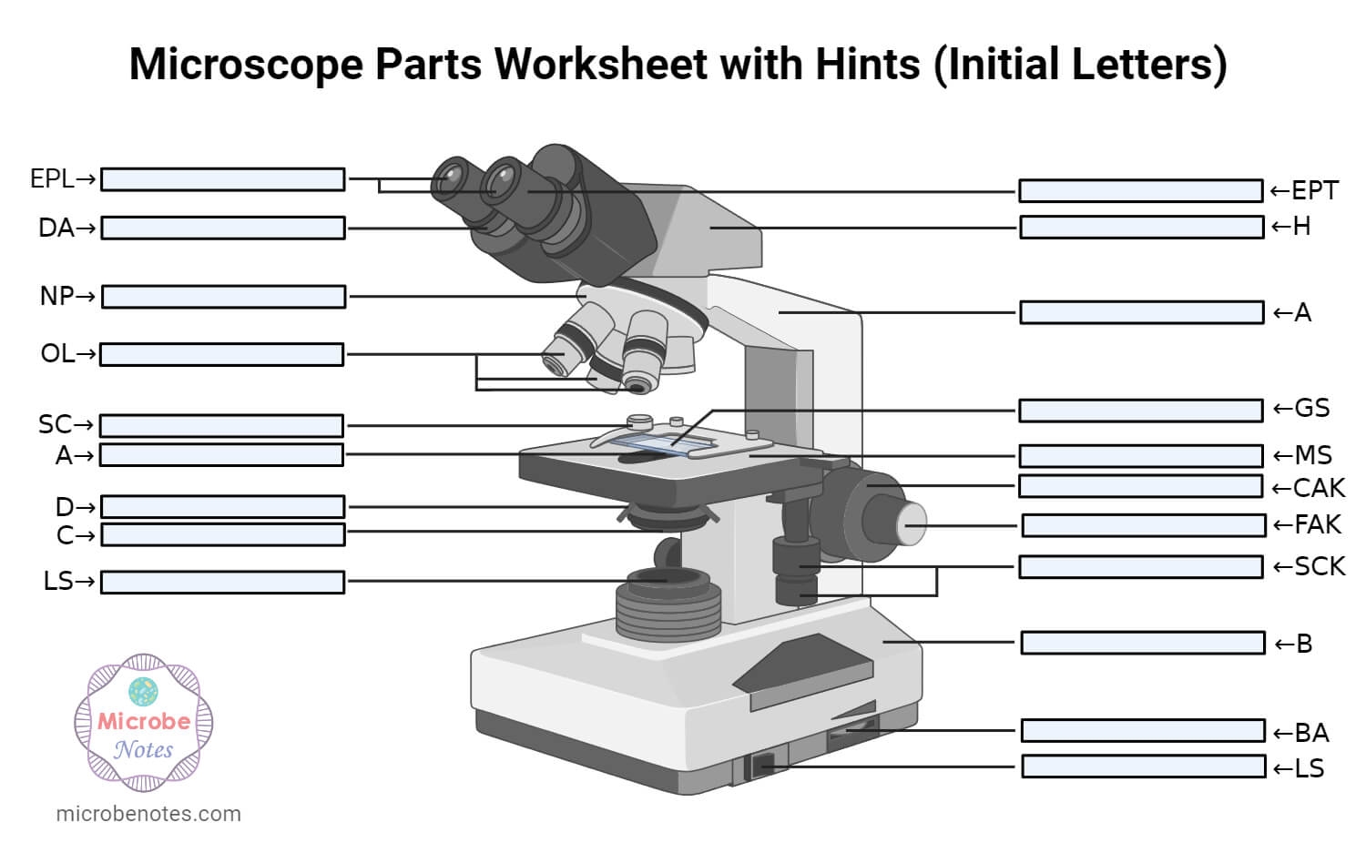 Microscope Parts Labeling Worksheet With Answer Key Microscope Parts Labeling Worksheet With Answer Key