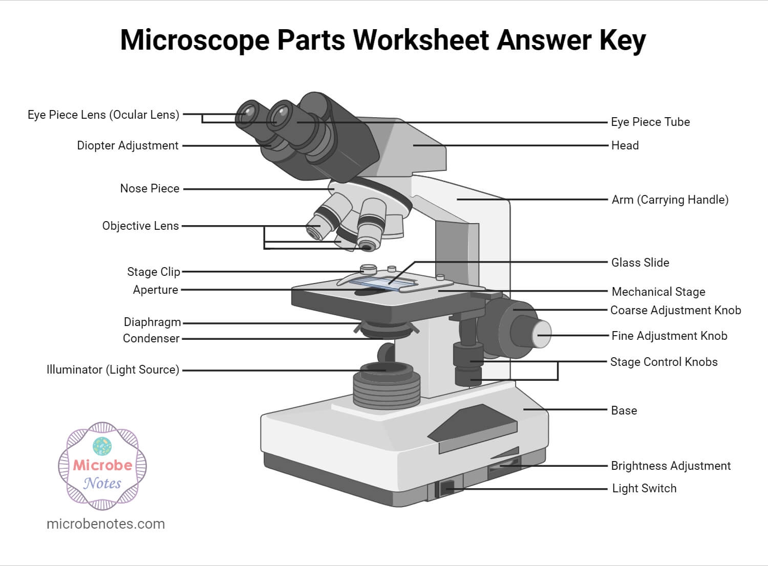 Microscope Parts Labeling Worksheet With Answer Key Microscope Parts Labeling Worksheet With Answer Key