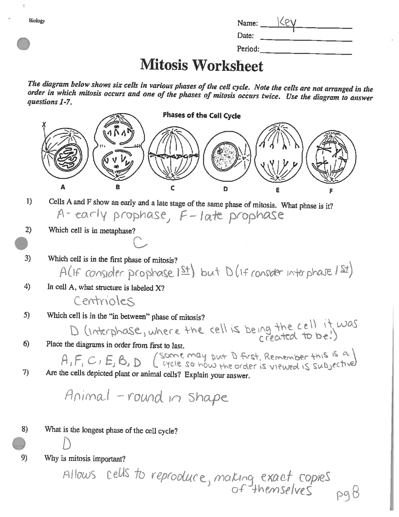 Mitosis Worksheet Answer Key Honors Biology Exercises Cell Mitosis Worksheet Answer Key Honors Biology Exercises Cell