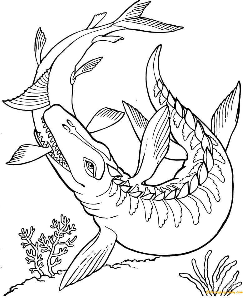 Mosasaurus Coloring Page Mosasaurus And Shark Coloring Page 