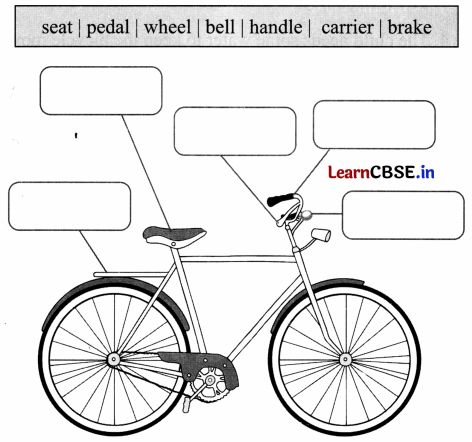 My Bicycle Class 2 Worksheet With Answers English Chapter 1 Learn CBSE