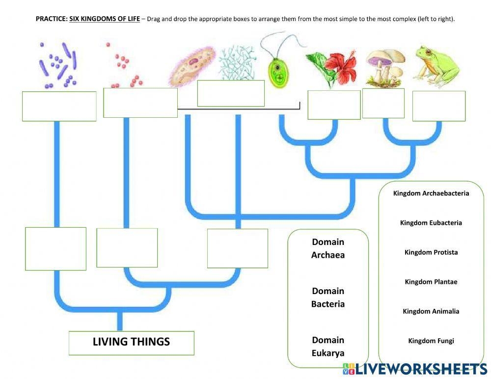 Name Hour Six Kingdoms Coloring Worksheet Pages 1 2 Flip PDF Name Hour Six Kingdoms Coloring Worksheet Pages 1 2 Flip PDF