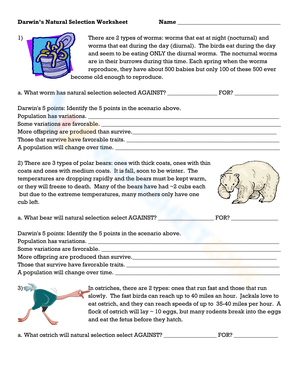 Natural Selection Worksheets Natural Selection Worksheets