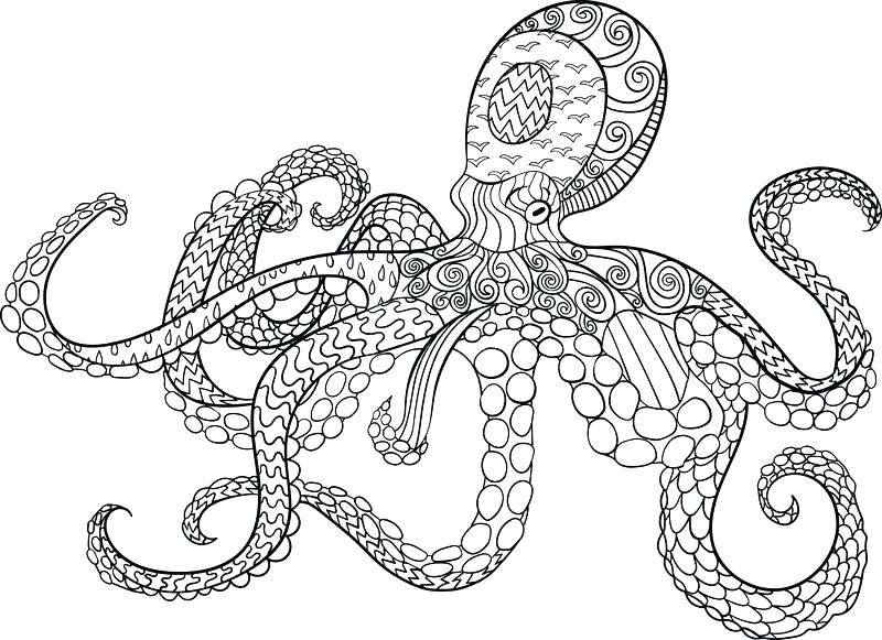 octopus coloring page