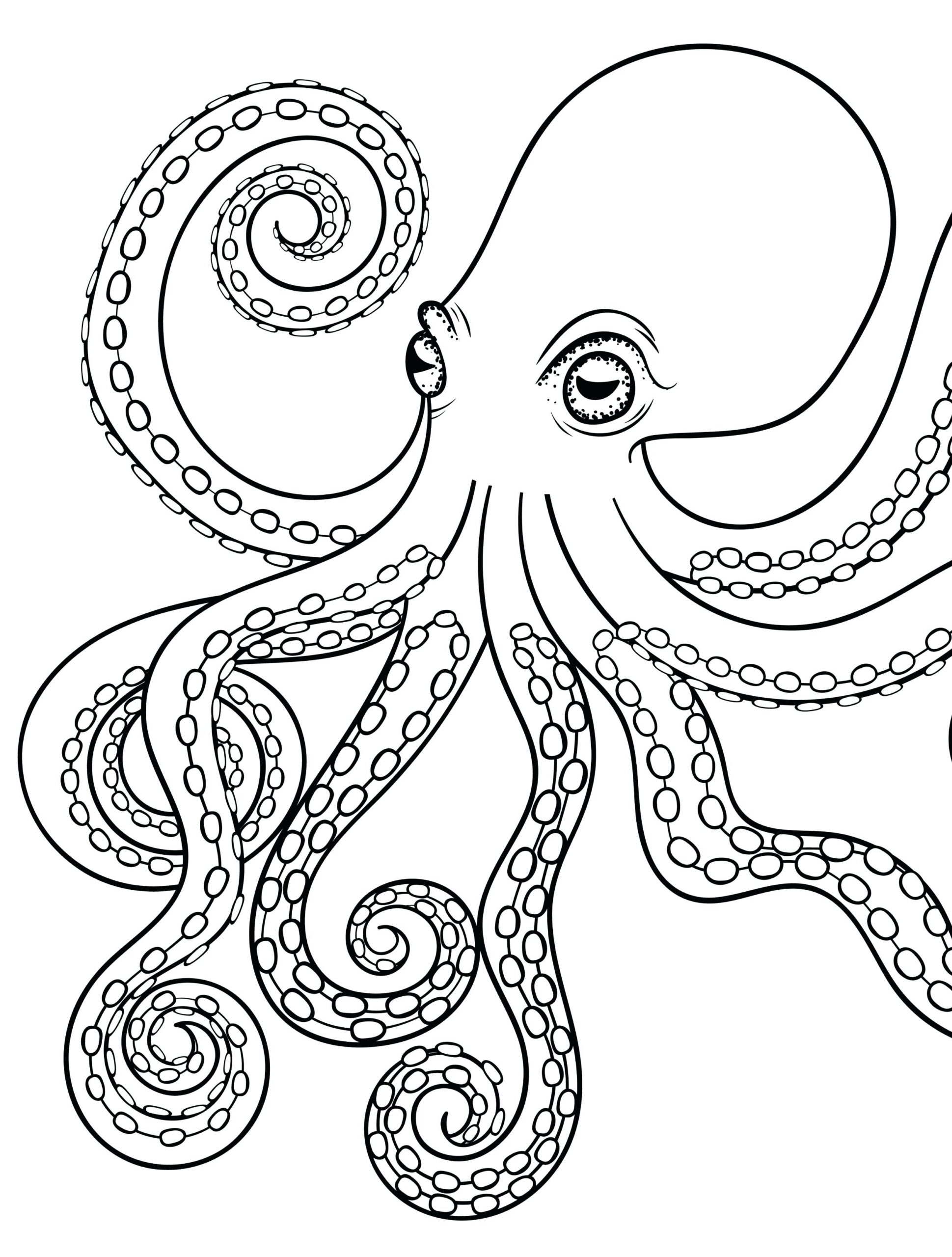 Octopus Coloring Page Printable