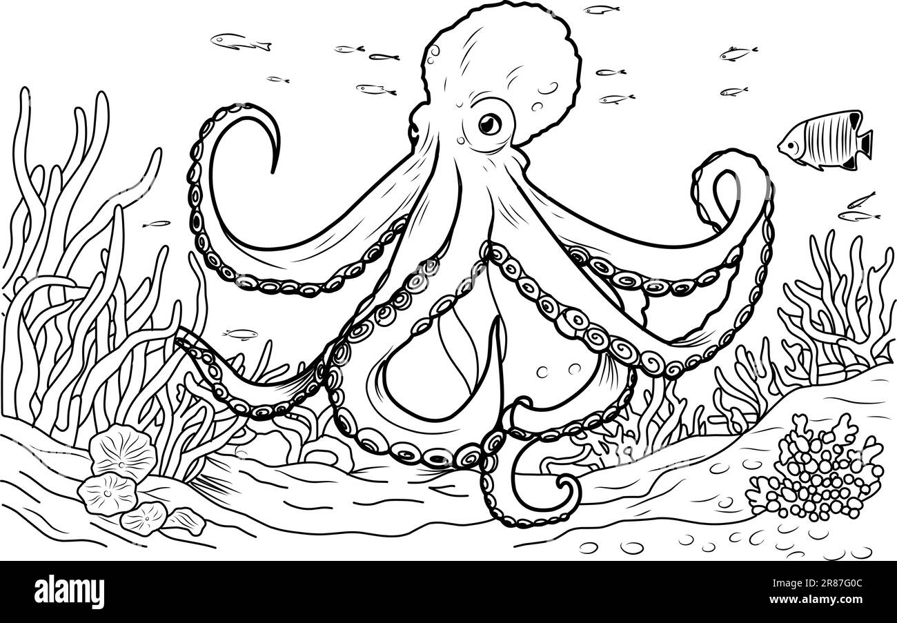 Octopus Coloring Sheet Octopus Coloring Pages Free Printable 