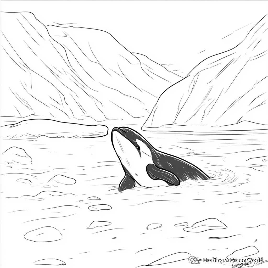 Orca Coloring Pages 12 Creative Whale Coloring Pages Free PDF Orca Coloring Pages 12 Creative Whale Coloring Pages Free PDF