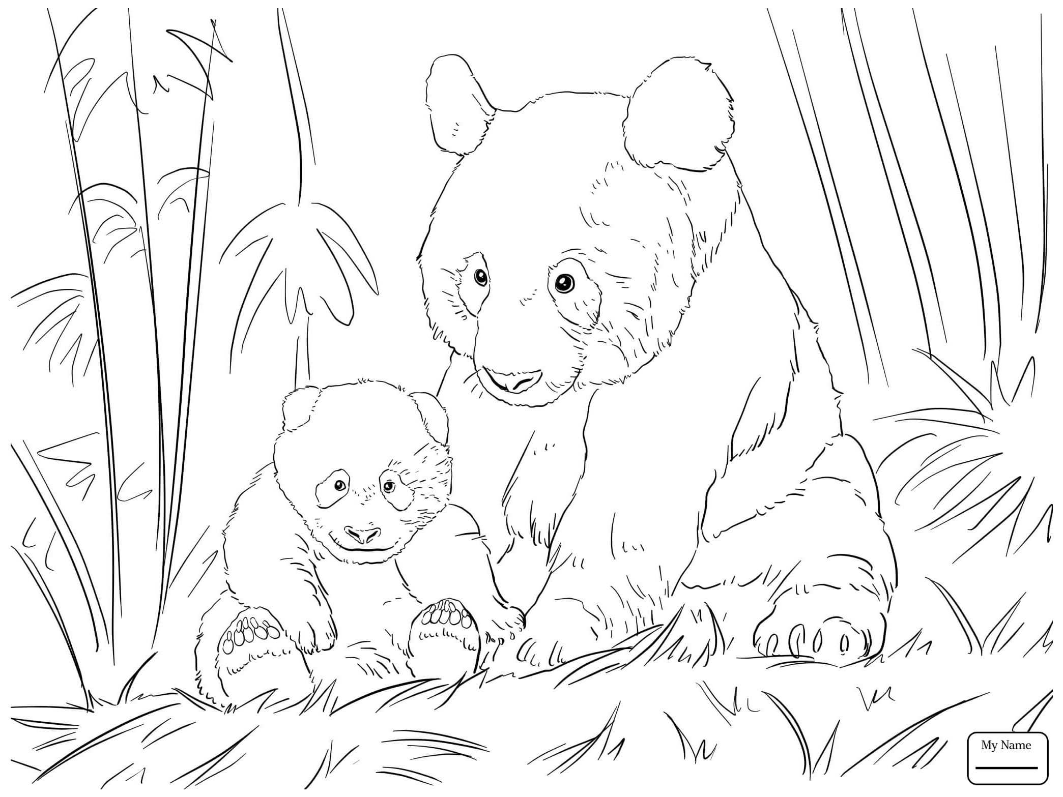 panda bear coloring pages