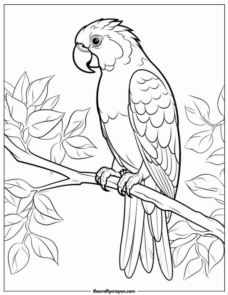 Parrot Coloring Pages Free PDF Printables Parrot Coloring Pages Free PDF Printables