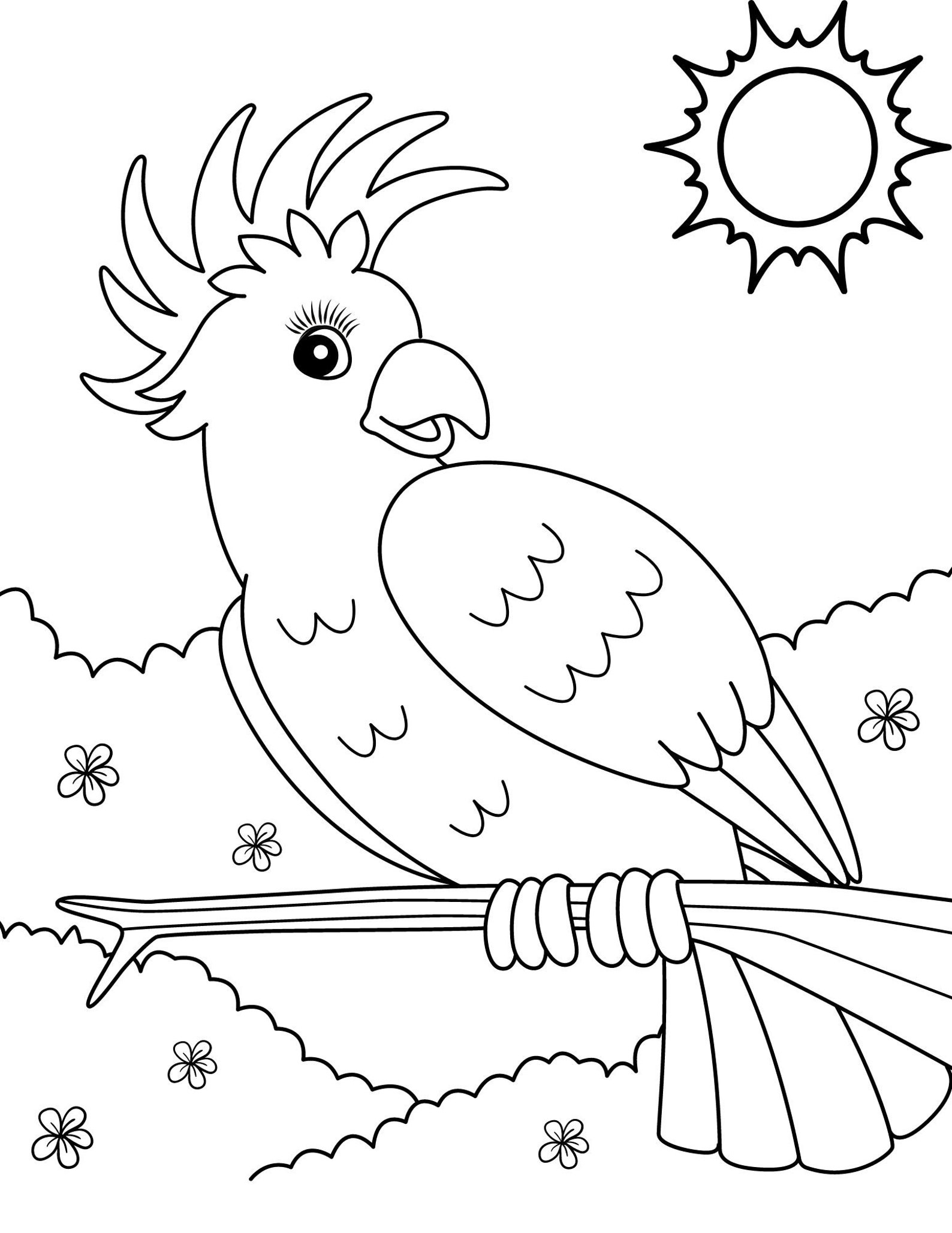 Parrot Coloring Pages Parrot PDF Parrot Printables Parrot Etsy Parrot Coloring Pages Parrot PDF Parrot Printables Parrot Etsy