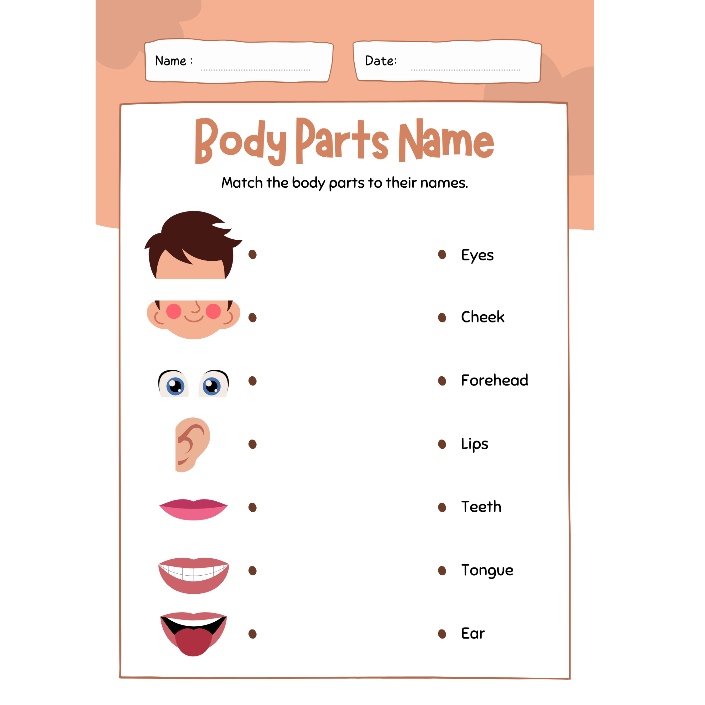 PARTS OF THE BODY ESL Worksheet By Sandramendoza Worksheets Library