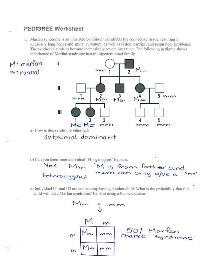 Pedigree Analysis Worksheet Answers Db excel