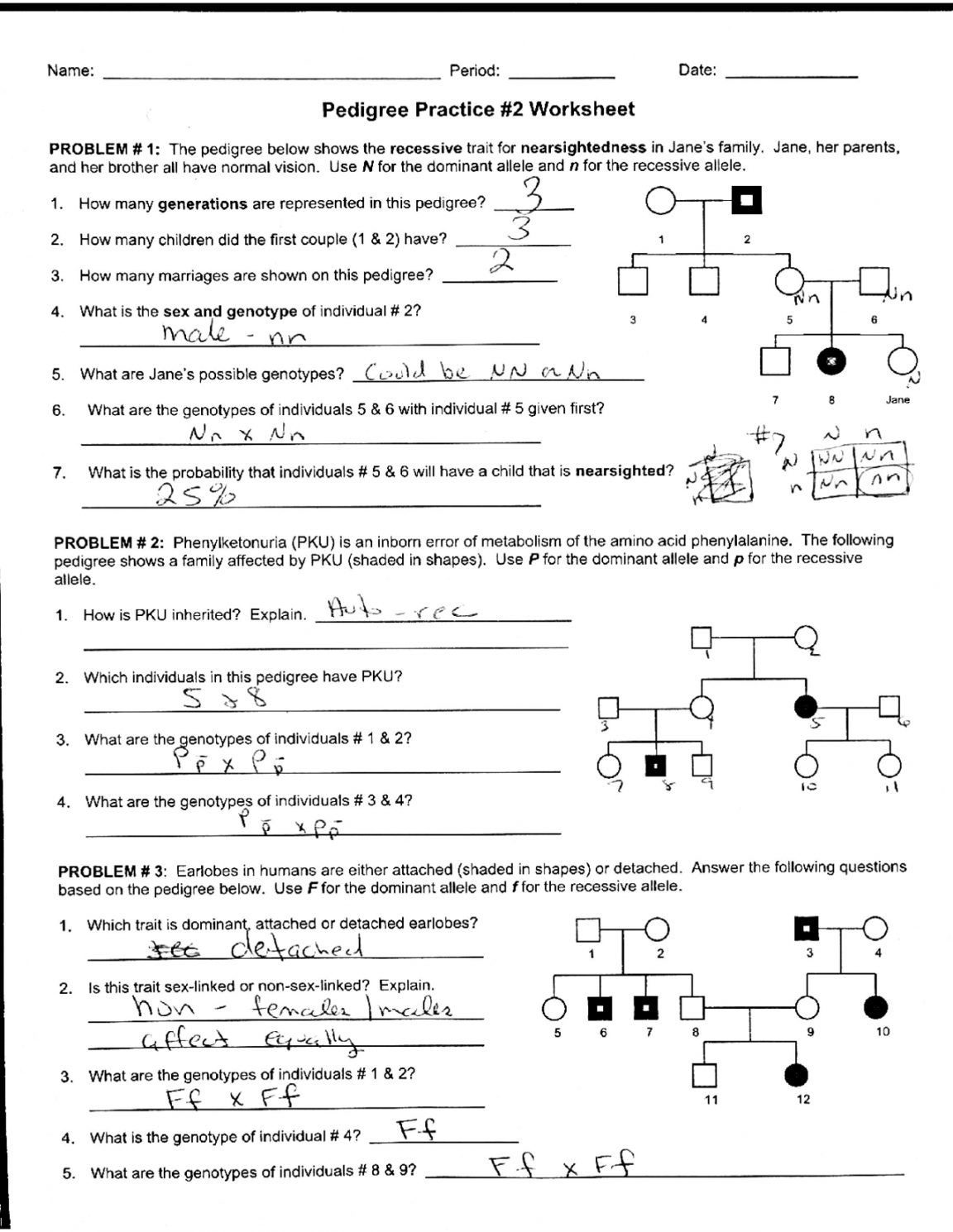 Pedigree Practice Worksheet With Answers Printable PDF Template
